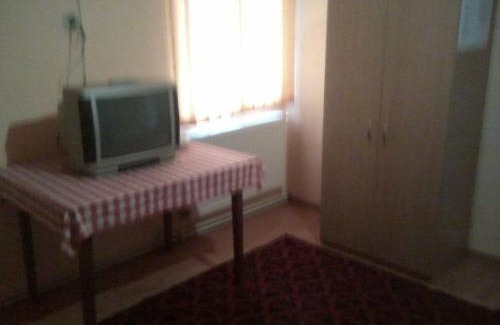 Zarnesti House | Pensiunea Irina 3