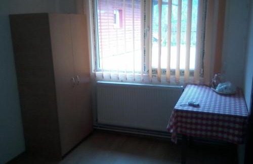 Zarnesti House | Pensiunea Irina 3