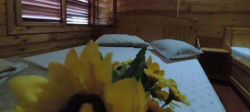 Murighiol House | Pensiunea La Tavi