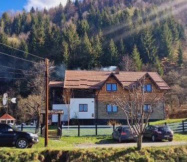 Borsa House | Pensiunea Lacul Arșiței