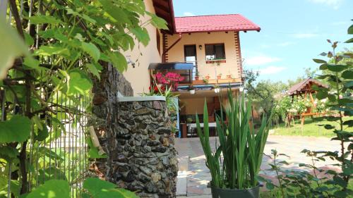 Valea Iasului House | Pensiunea Luminita
