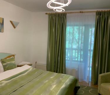 Moeciu de Sus Hotel | Pensiunea Mario