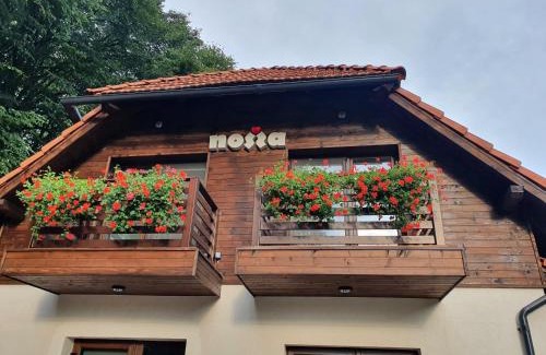 Livezeni Villa | Pensiunea Nossa Panzió