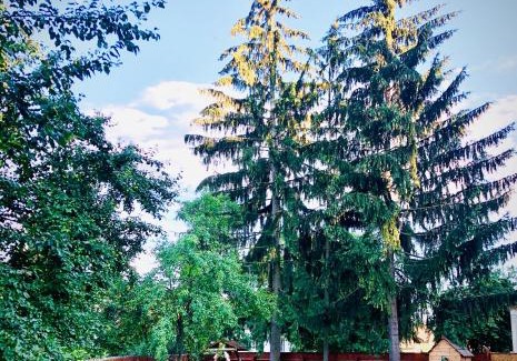Biertan House | Pensiunea Oppidum