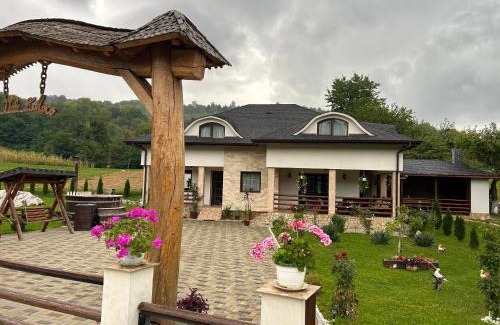 Salva House | Pensiunea Pe Vale La Moco