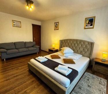 Baia Mare Bed & Breakfast | Pensiunea Pictorilor