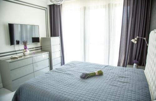 Viile Satu Mare House | Pensiunea Primaverii