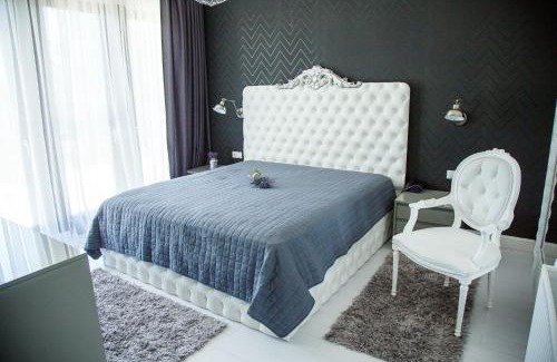 Viile Satu Mare House | Pensiunea Primaverii