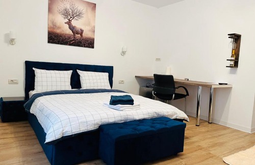 Remetea Mare House | Pensiunea Queen