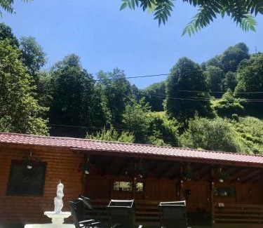 Sugag House | Pensiunea Silva Dobra