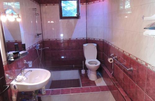 Fildu de Jos House | Pensiunea Steaua Nordului