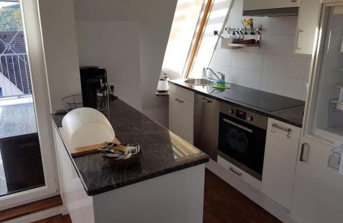 Badenweiler Apartment | Penthouse über den Dächern Badenweilers