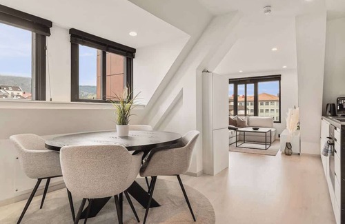 Engen Apartment | Penthouse 250m From CityCenter I Privat Balcony