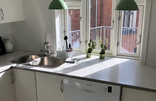 Ribe Apartment | Penthouse 50 meters from the old town hall