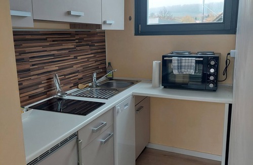 Heilbronn Apartment | Penthouse by the park