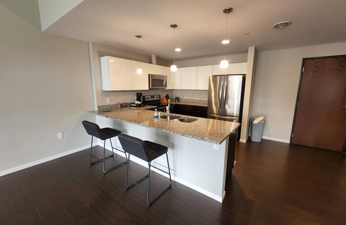 Downtown Cleveland Condo | Penthouse In The Flats