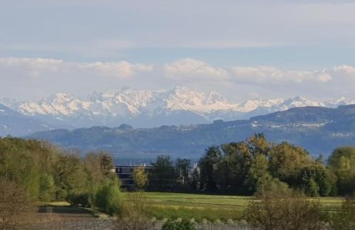 Kressbronn Apartment | Penthouse Weitblick mit Berg und Seesicht