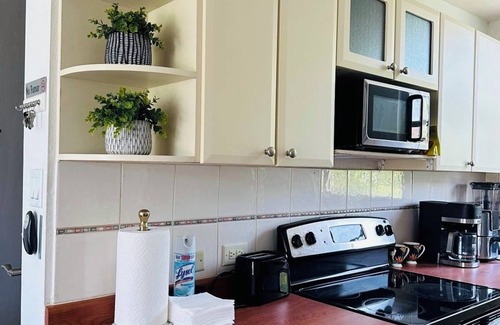Machos Condo | Penthouse with Pool, AC, 3 BR, Fast WiFi, we allow Pets, amazing sunsets views!