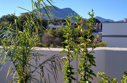 Somerset West Apartment | Penthouse with roof terrace