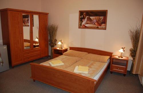 Trencianske Teplice House | Penzión Zuzi