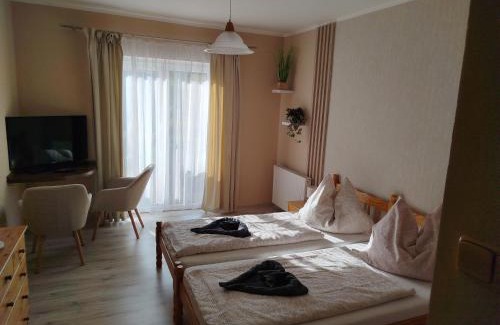 Frantiskovy Lazne House | Penzion Žírovice