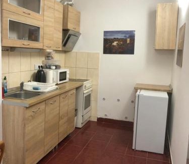 Karlovy Vary Apartment | Penzion Duong Apartments