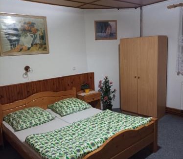 Hajek House | Penzion furovi