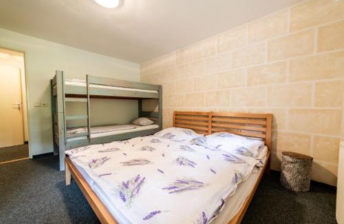 Teplice nad Metuji House | Penzion Kamínek