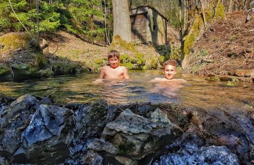 Rokytnice nad Jizerou Ski Chalet | Penzion Pichberg Horská chata