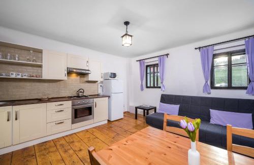 Lazne Libverda House | Penzion Pod Sudem