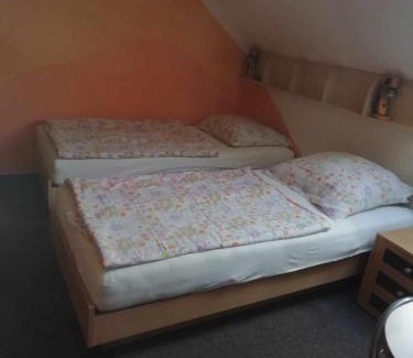 Stare Sedlo House | Penzion U Burešů Staré Sedlo