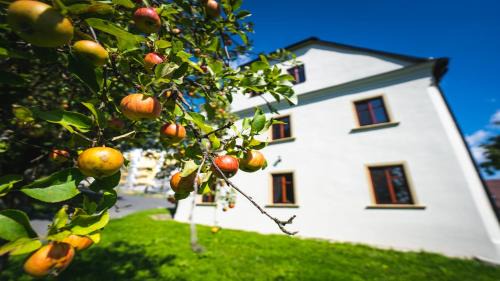 Tvrdkov House | Penzion U Křížové Cesty