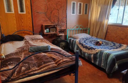 Lo Contador Bed & Breakfast | PEQUEÑOVALPO hillside homestay