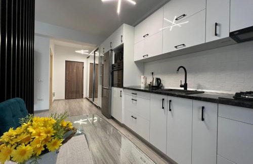 Iasi Apartment | Perfect Host Palas