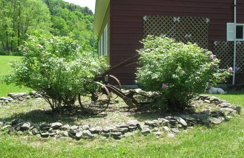Hartwick House | Perfect House for Dreams Park and All-Star Families/Sports Field Outdoor Fun!