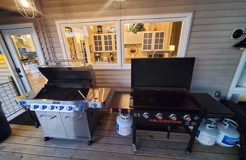 Osage Beach House | PERFECT LOCATION+h2oToys+6 BDRMS+5 BTHRMS+3 FMLY RMS+2 KTCHNS+SWIM DOCK+Pets Ok
