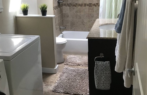 Salida House | Perfect Location! On the River, Downtown Salida! Dogs Welcome (STR-0258)