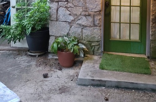 Piedmont Heights Apartment | Perfect Midtown Garden Apartment