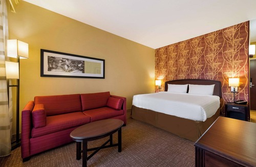 Novi Hotel | Perfect Room for Pet Owners Seeking a Relaxing Getaway with Swimming Pool