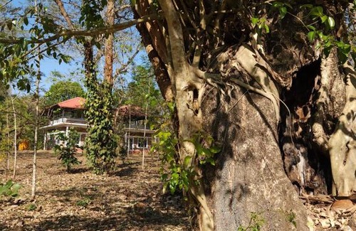 Kushalnagar House | Periwinkle Place