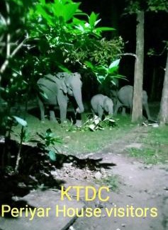 Thekkady Resort | Periyar House