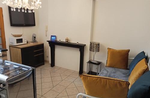 Moulins Apartment | Perle Rare F1 de 43 m quartier historique.(3 p)