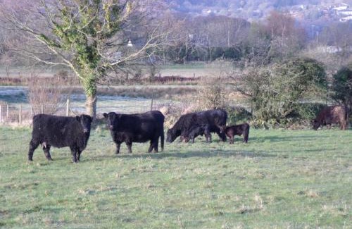 Brynrefail House | Perthi Uchaf