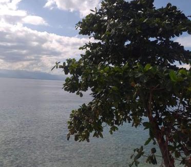 Basdiot Resort | Pescador View - Beachfront & nearby the Ocean Hostels & Restaurant Moalboal