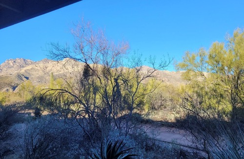 Tucson Condo | Pet Friendly-1st Floor 2 with Direct Access from parking - Mountain Views!