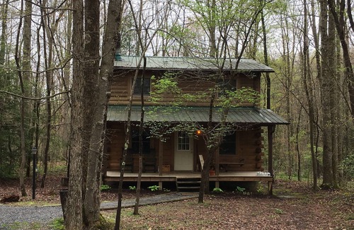 Hico Cabin | Pet Friendly Appalachian Cabin!