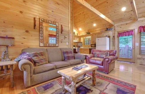 Wears Valley Cabin | Pet-friendly Cabin in the Hills! HOT TUB + Wifi