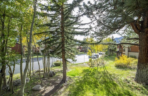 Mammoth Lakes Condo | Pet-Friendly Condo w/Private Balcony & Stunning Views - #445