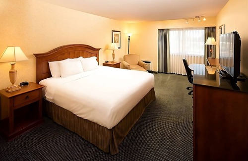 Wenatchee Hotel | Pet-Friendly Haven: Bring Your Furry Friends Along for the Adventure!