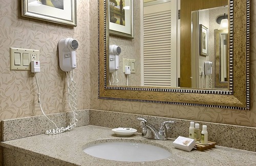 Wenatchee Hotel | Pet-Friendly Haven: Bring Your Furry Friends Along for the Adventure!
